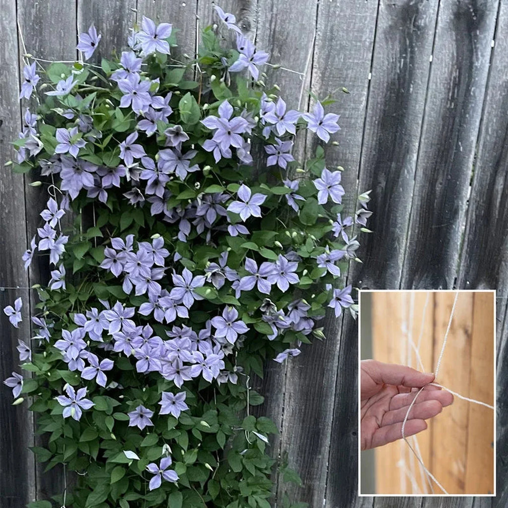 wooden trellis for clematis Soft Mesh Clematis Trellis | Garden Accessories