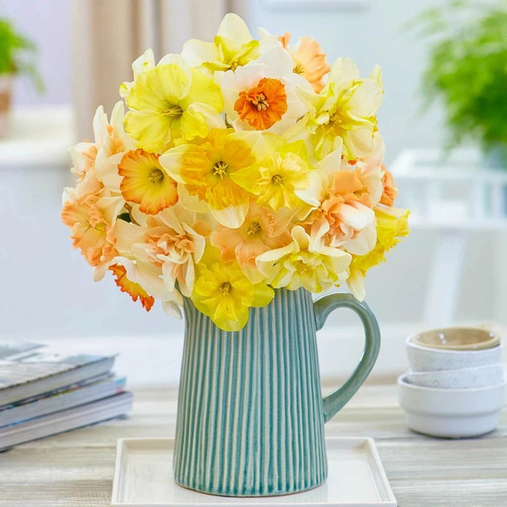Weatherproof Daffodil Mixture | Shop Now | Breck's