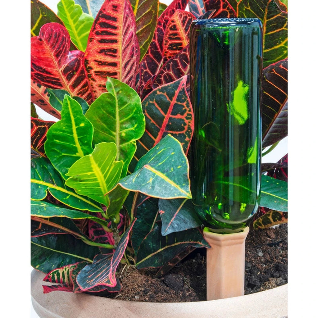 Bosmere K213 Wine Bottle Drinks, Terra Cotta - Set of 2