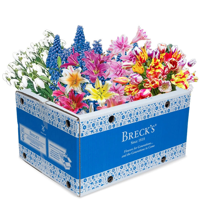 Spring and Summer Blooms Grab Bag Brecks