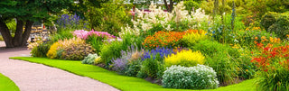 How to Create a Sunny Garden