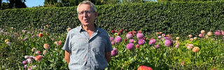 Behind the Blooms: Visiting Jozef Weyts, the Visionary Breeder of Jowey Dahlias
