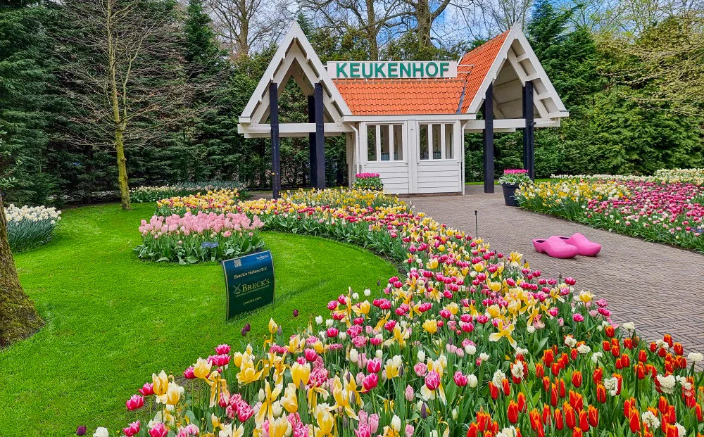 Breck’s Bulbs at Keukenhof Gardens | Breck's