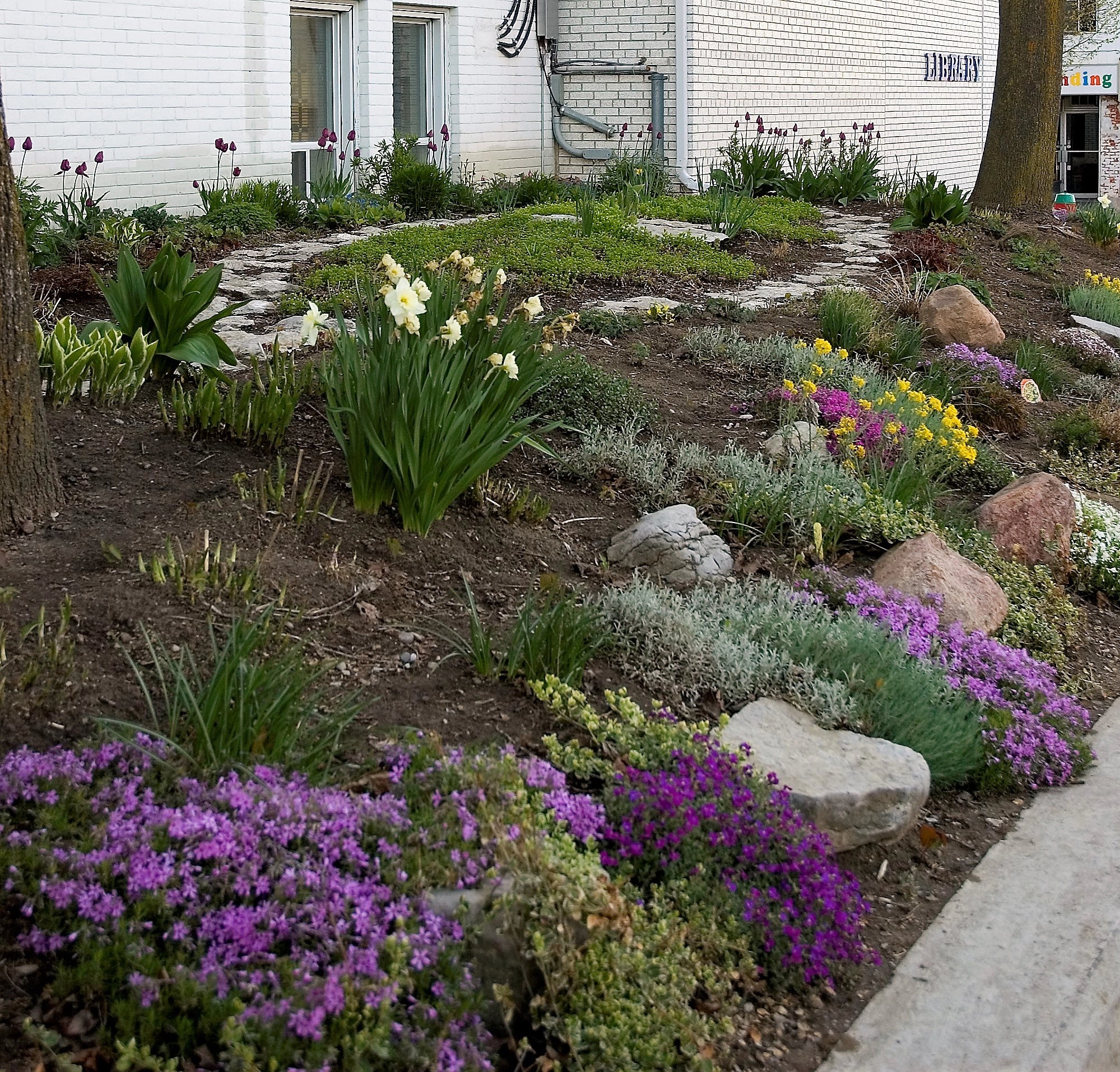 Growing a more diverse garden Breck's Brecks