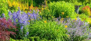 How To Plan A Flower Garden