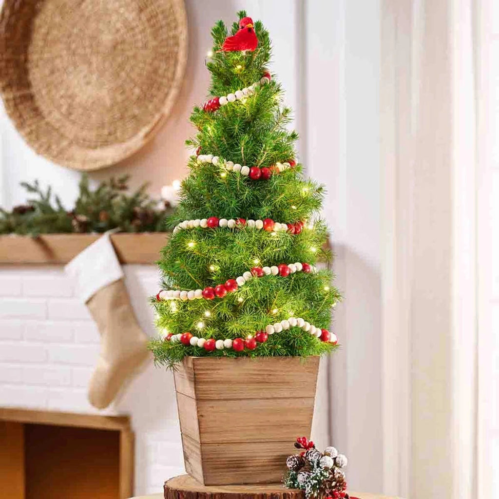 A keepsake tree with enduring spirit – Breck's