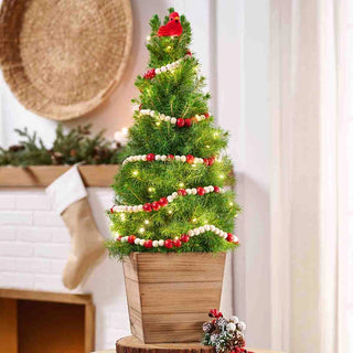 Nature's Song Potted Spruce Tree