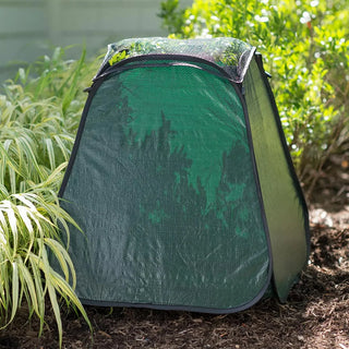 Pop-Up Plant Protector