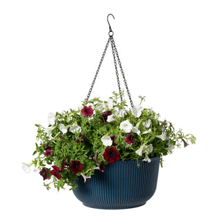 self watering hanging baskets for plants Self-Watering Ribbed Hanging Basket, 11", Set of 2 – Breck's