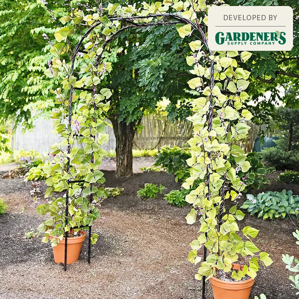 Titan™ Arch – Breck's