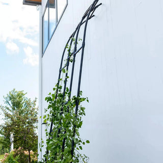 Titan Half Arch