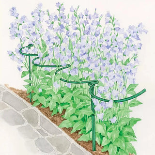 Tidy Path Supports