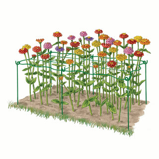 Cut Flower Grid Support, Set of 2