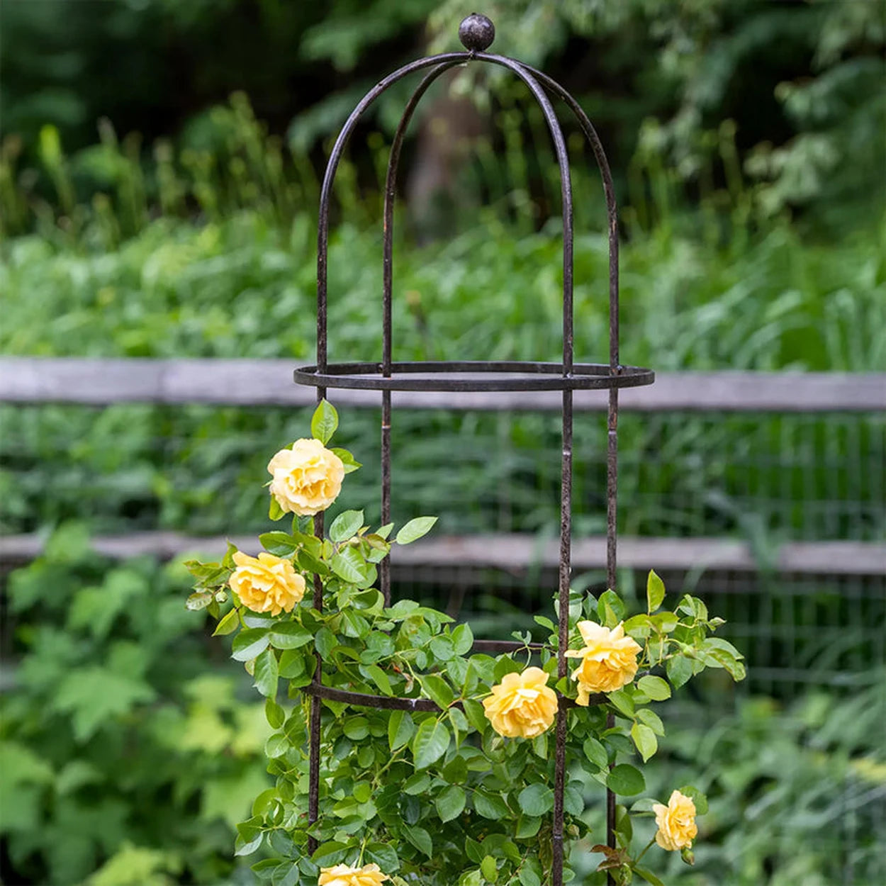 round plant trellis Jardin Round Obelisk 7'