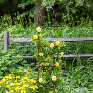 Jardin Round Obelisk