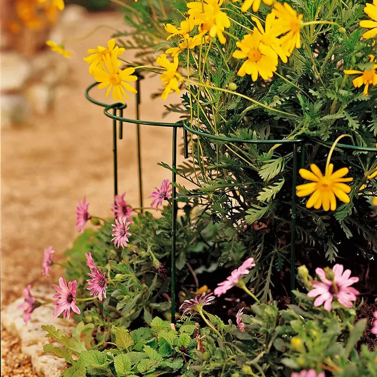 stakes for hanging plants Gardener's Supply Company