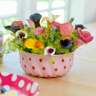 Festival Lights Calla Lily Mixture