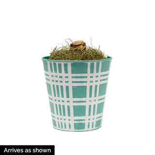 Derby Day featuring Candy Queen Amaryllis - Single