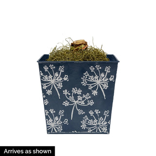 Spring Breeze featuring Gervase Amaryllis