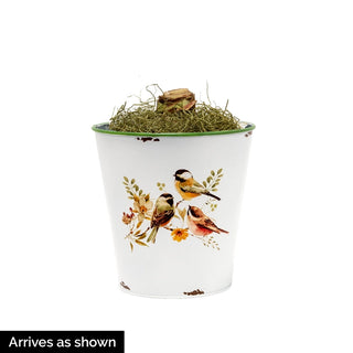 Birds and Blooms Amaryllis