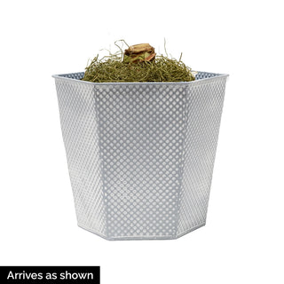 Sunday Brunch featuring Exposure Amaryllis