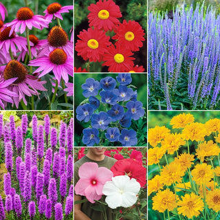 Deeresistible™  Designer Garden