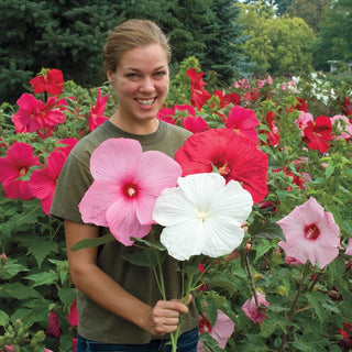 Deeresistible™  Designer Garden