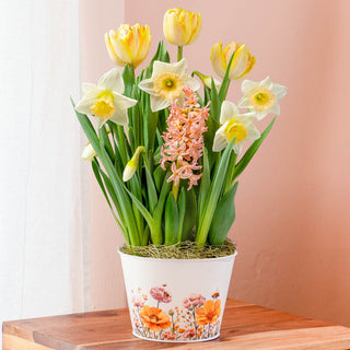 Spring Sonnet Bulb Garden