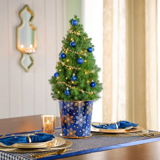 Enchanted Evenings Potted Spruce Tree
