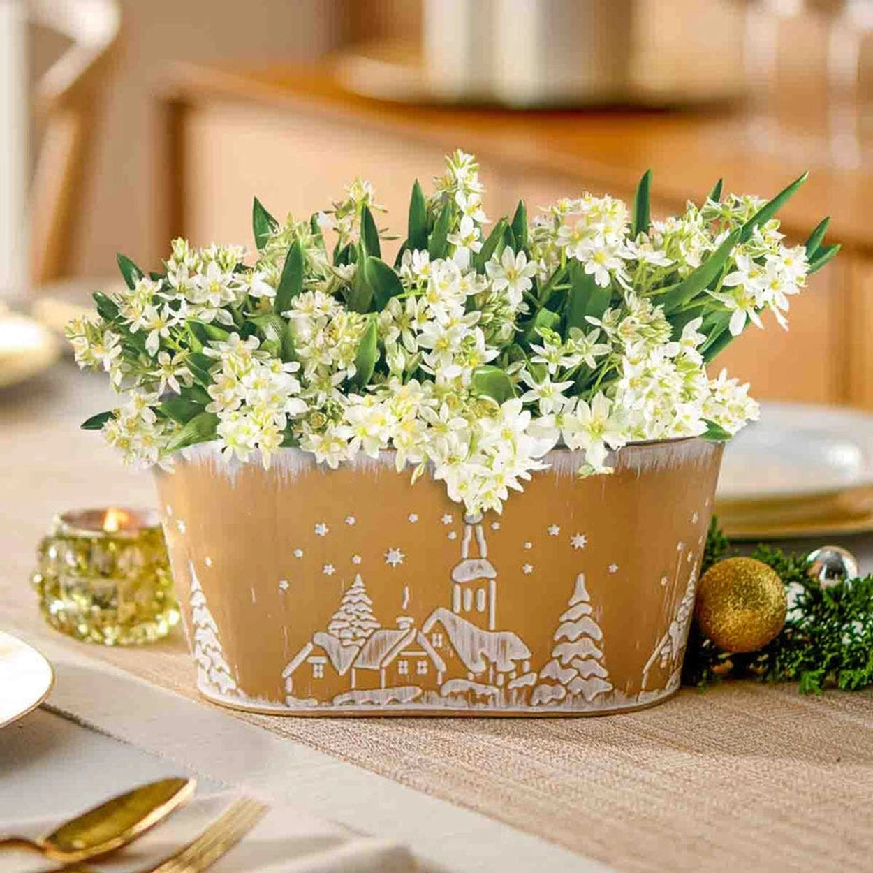 bethlehem lights hanging plants Star of Bethlehem Planter