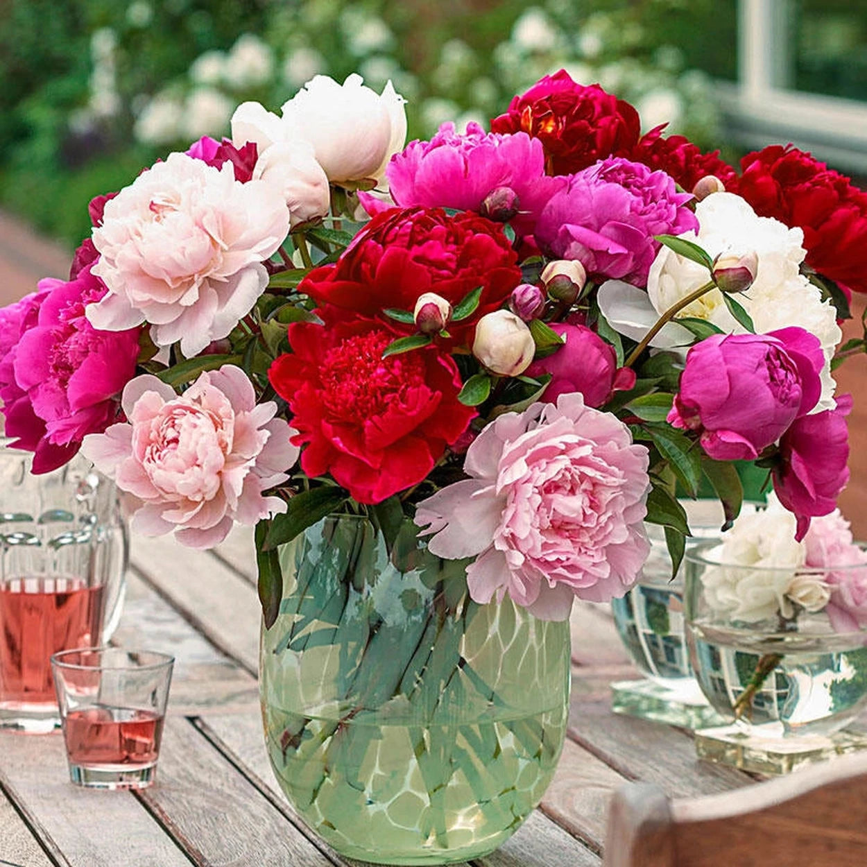best potting mix for peonies Cut-Flower Peony Mixture - 3 Per Package | Red | Pink | White | Mixed | Paeonia lactiflora 'Duchesse de Nemours'