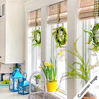 Bee Sweet Daffodil Bulb Garden