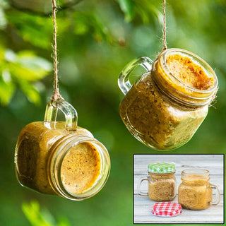 Peanut Butter Mason Jar Feeders