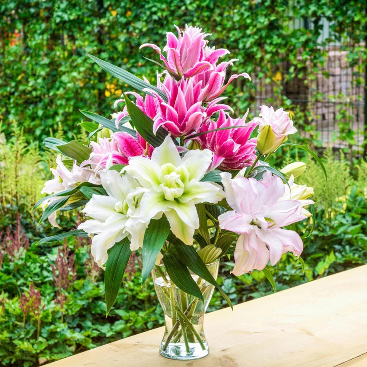 rose lily flower for sale Pollen-Free Roselily Mixture