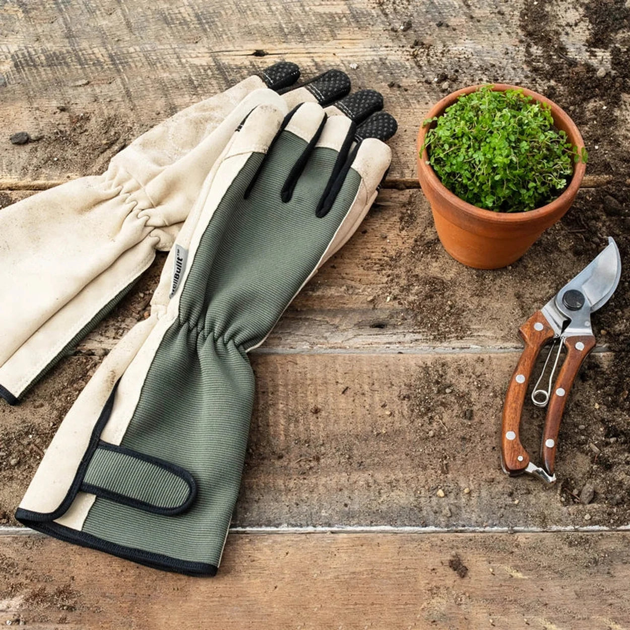 garden scissors online Breck's Rosewood Pruners - 1 Per Package
