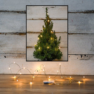 20 Warm White LED Fairy Lights