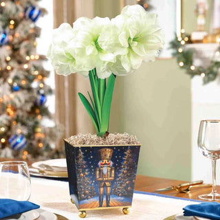 Nutcracker Suite Alfresco Amaryllis Single
