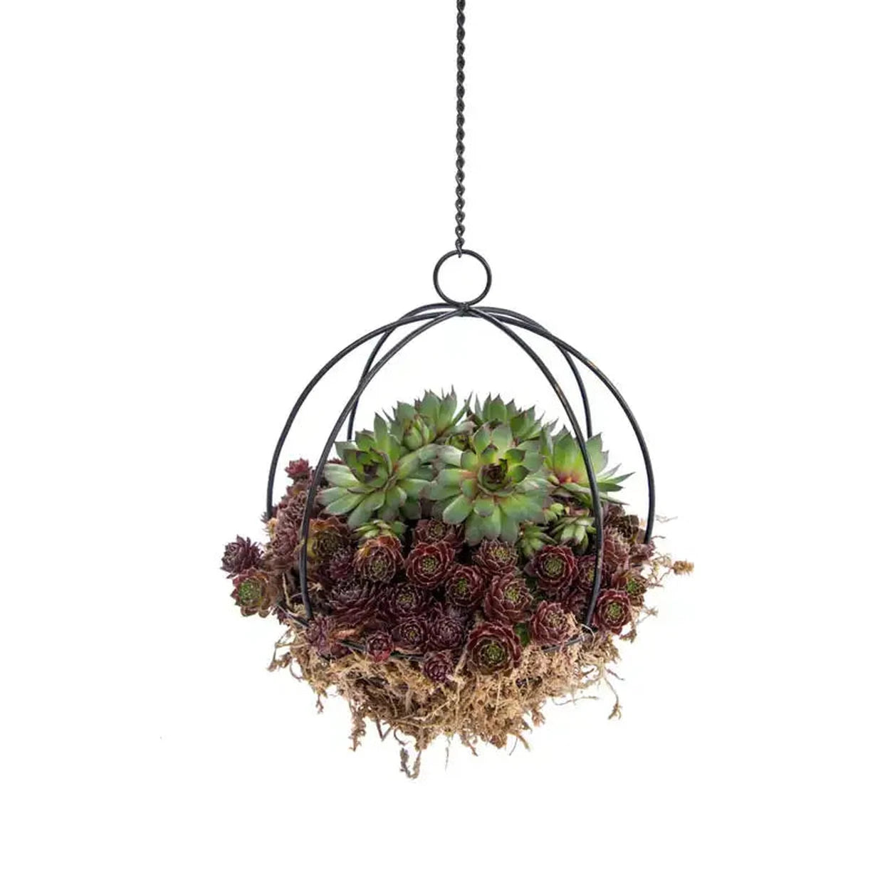 hanging planter sphere Hanging Metal Sphere - 1 Per Package