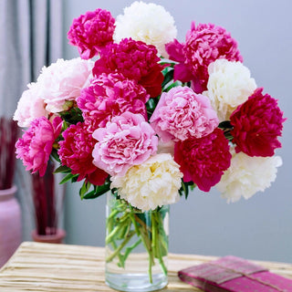 Peony Mixture Super Sak®