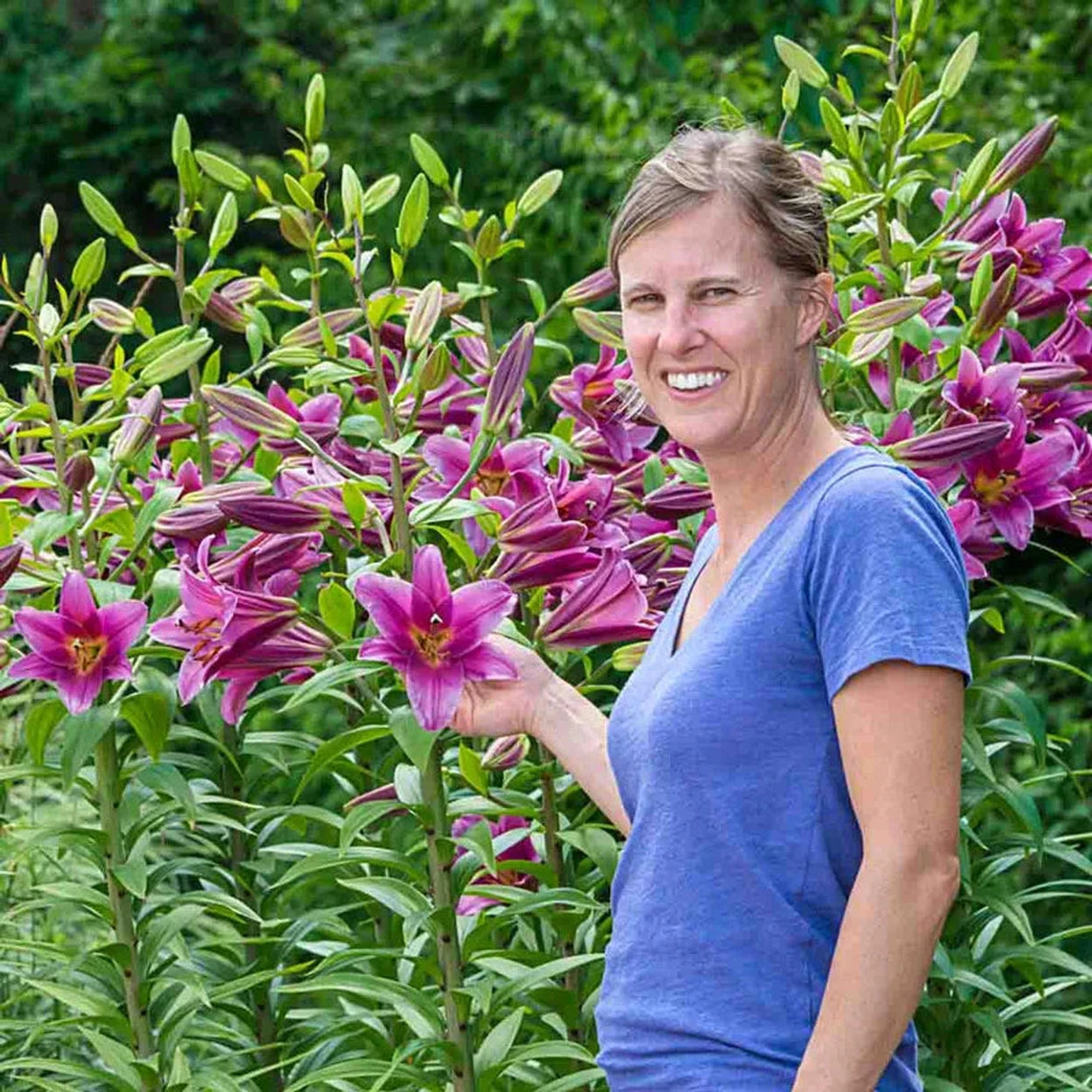 purple lily like flower Purple Lady Lily Tree®