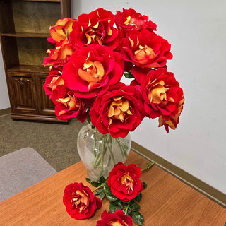 Ketchup & Mustard Rose