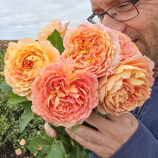 Fun in the Sun™ Grandiflora Rose