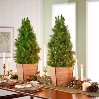 Winter Woods Potted Spruce Tree