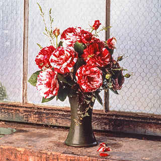 Scentimental™  Floribunda Rose