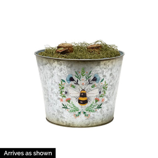 Bee Inspired featuring Elvas Amaryllis