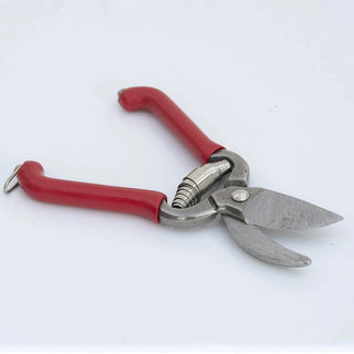 Houseplant Pocket Pruner