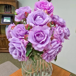 Love Song™ Floribunda Rose