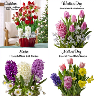 4-Month Holiday Club