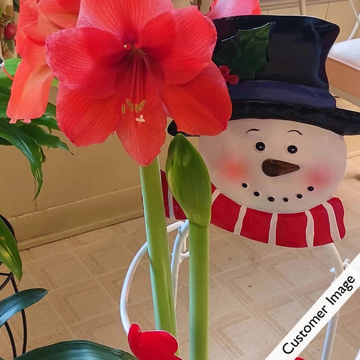 snowman air plant holder Snowman Plant Stand for Amaryllis | Holiday Gifts