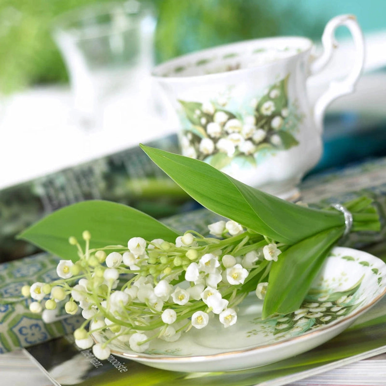 lily in the valley flower Bridal Choice Lily of the Valley | Shade Perennials